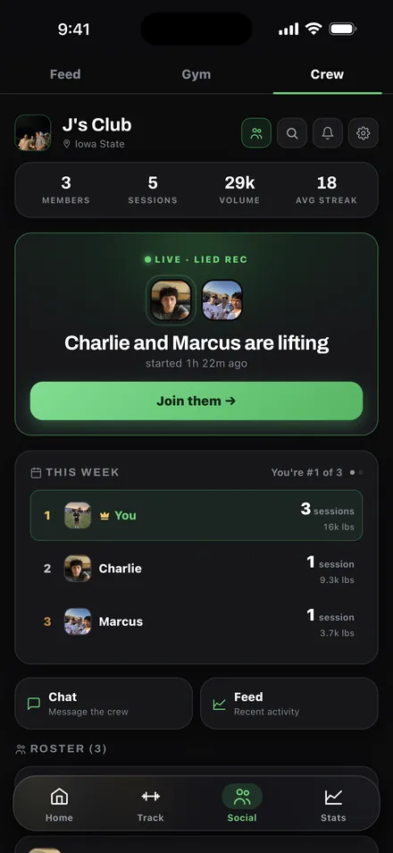 Ceko — crew: who showed up this week